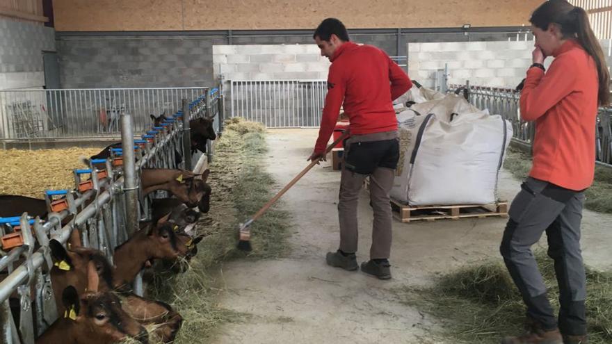 Una granja de cabres a Víllec, al terme de Montellà | MIQUEL SPA