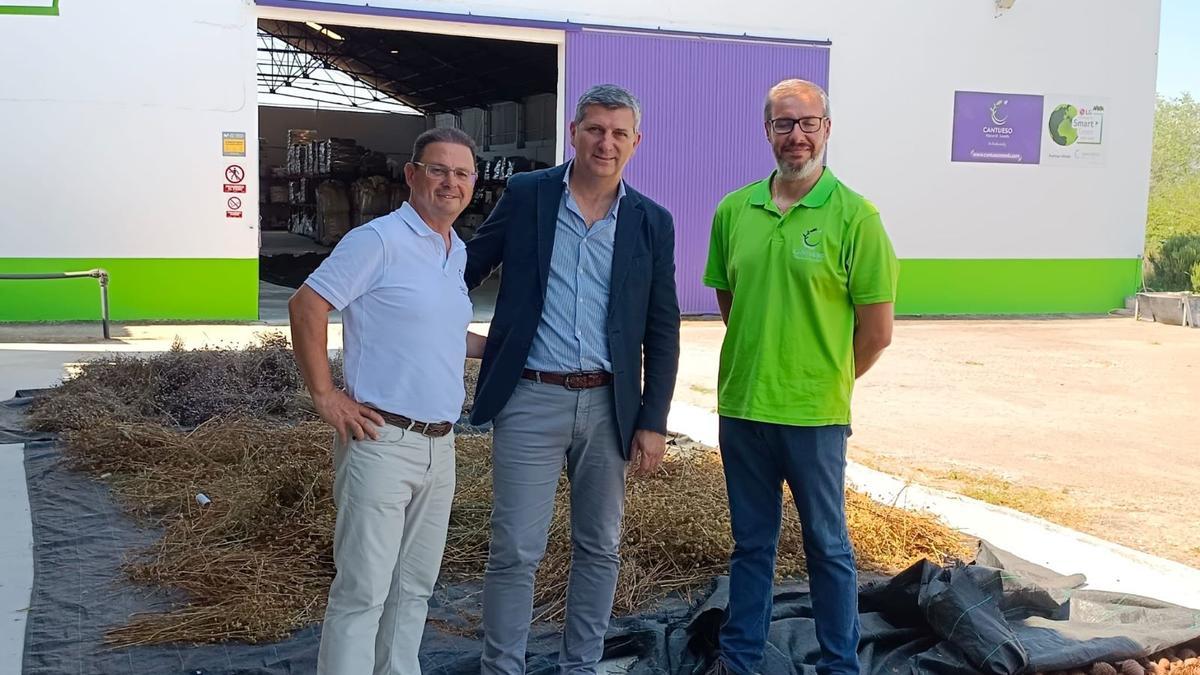 La industria concede ayudas a la industria del olivar.