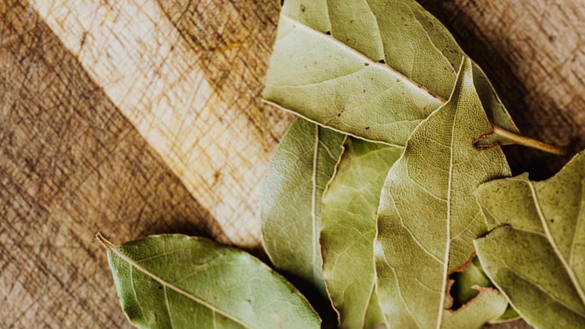 Hojas de laurel.