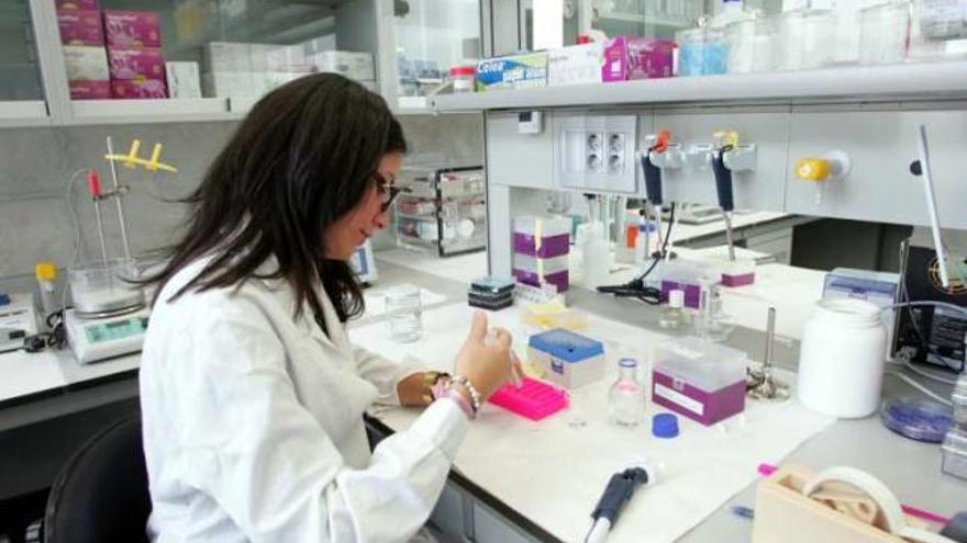 Una investigadora en el Instituto de Biología Molecular y Celular.