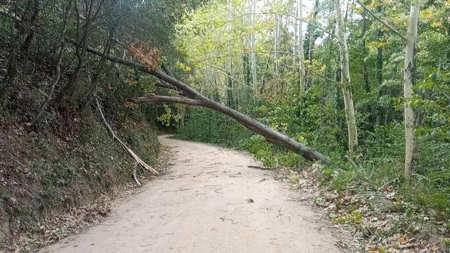 Segueix l&#039;alerta per fort vent amb ratxes de gairebé de 50 km/h en punts de l&#039;Alt Empordà