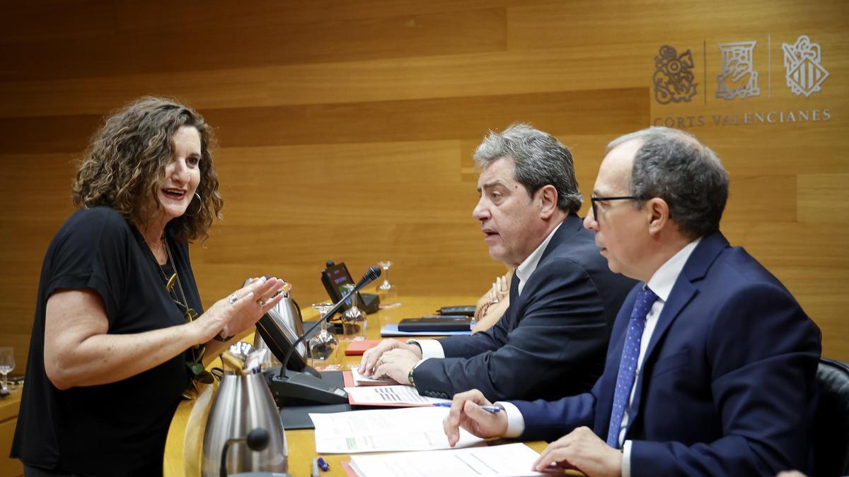 La diputada del PSPV, Mercedes Caballero, habla con el síndic de Vox, José María Llanos, en la comisión, este jueves.