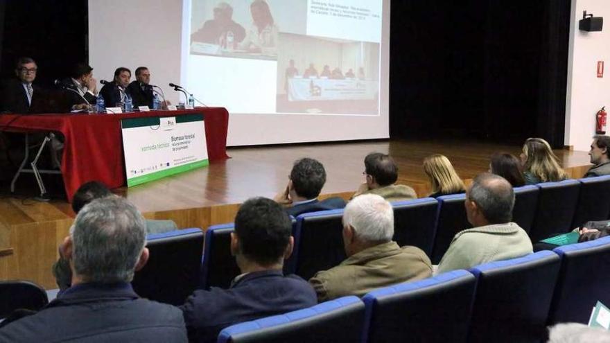 Jornadas sobre biomasa forestal celebradas en el auditorio de Ponteareas en marzo de 2014. // D.P.