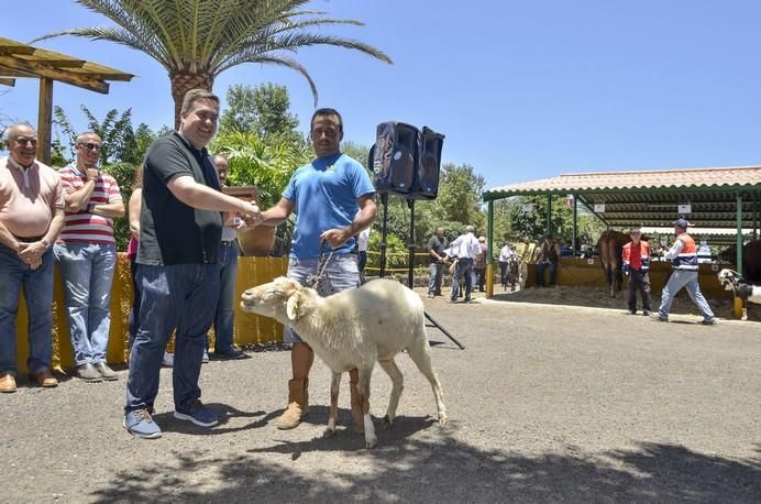 ARUCAS GRAN CANARIA A 28/05/2017 Entrega de premios concurso de ganado del Cabildo de Gran Canaria. FOTO: J.PÉREZ CURBELO