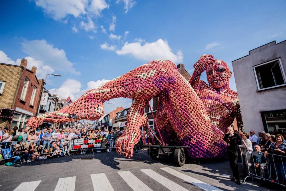 Batalla de Flores holandesa de 2017