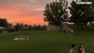 Tomar el fresco en Córdoba: de la acera al césped