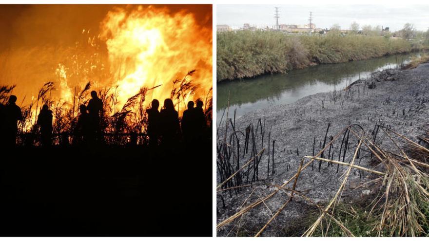 El incendio provocado en Alzira arrasa 5.000 m2 de cañas