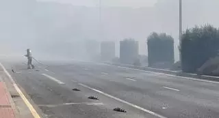 Un incendio en Murcia se complica por el viento y la vegetación seca