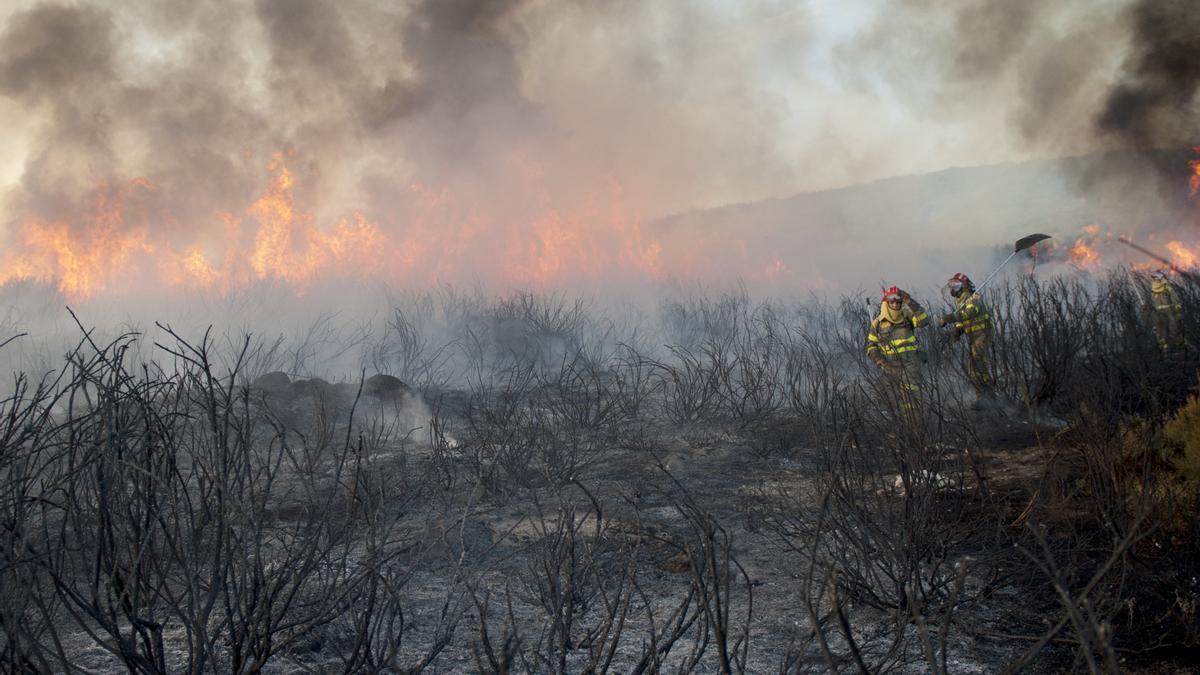 Incendio forestal en la provincia de Ourense 