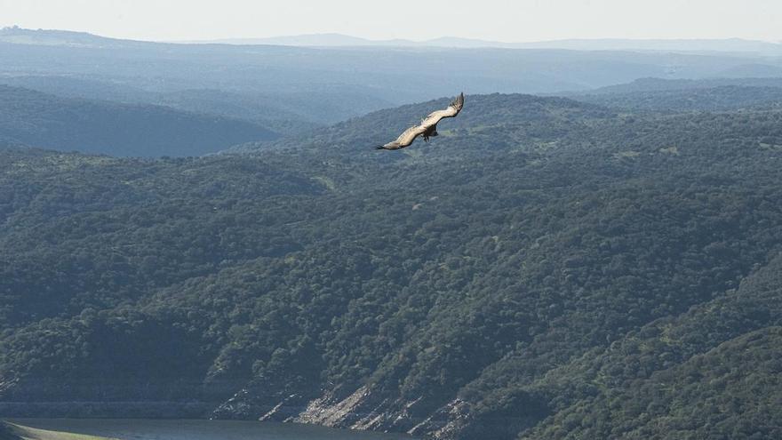 Saucedilla convierte su entorno natural en protagonista con la feria NaturSau en abril