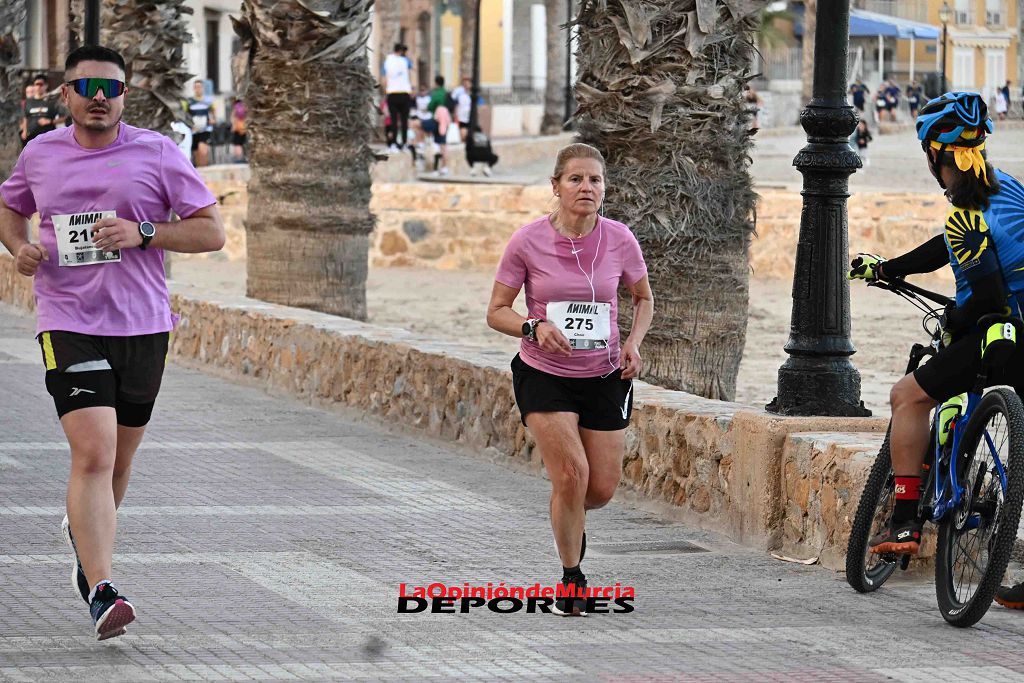 Carrera 5k Animal en Los Alcázares 2024 (II)