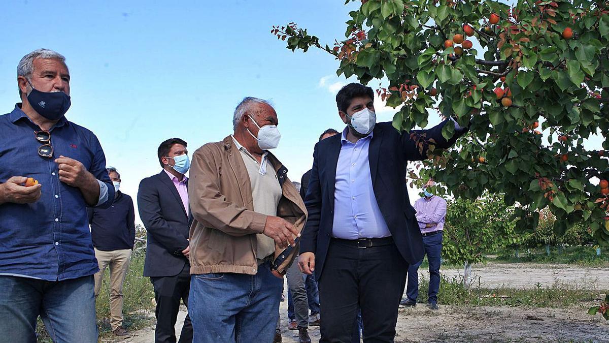 Fernando López Miras visita una finca de cultivo ecológico en Abanilla | PEPE VALERO