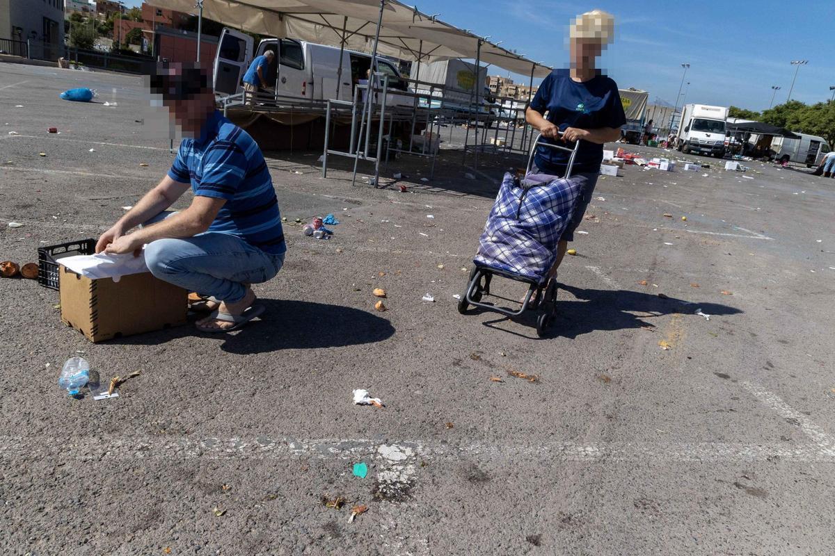 _MGL6526.jpg _MGL6526.jpg