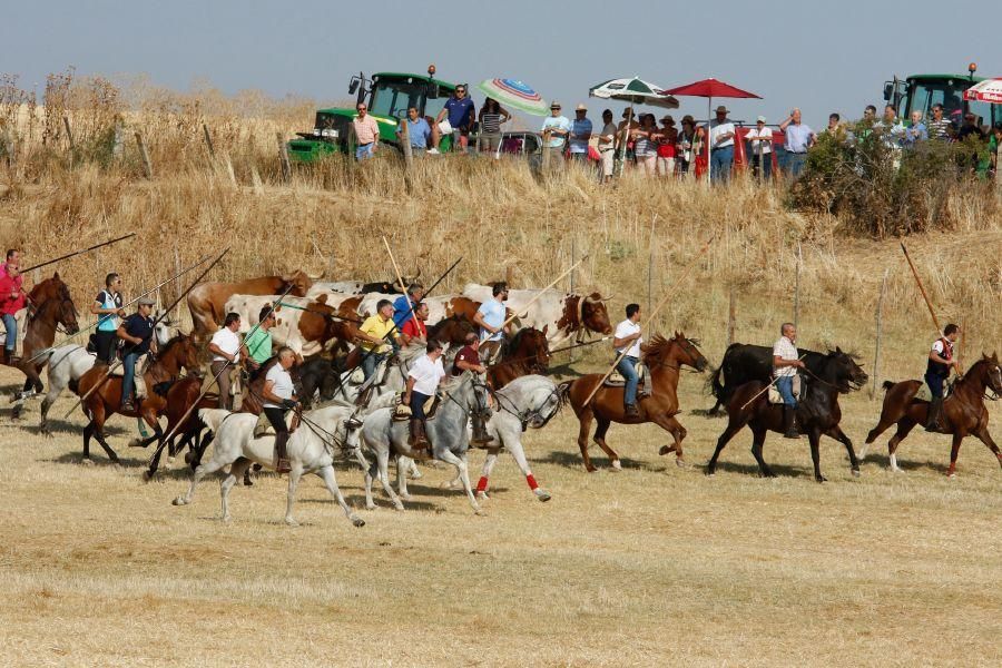 Fiestas en Zamora: Espantes en Fuentelapeña