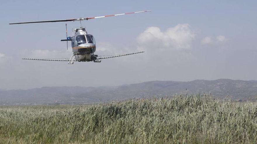 La Diputación recurre a un tratamiento aéreo «excepcional» contra mosquitos en las zonas de marjal de Castellón