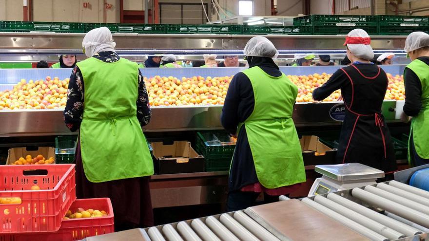 Las cooperativas agrarias denuncian que la normativa del registro de contratos alimentarios perjudica la demanda de sus productos