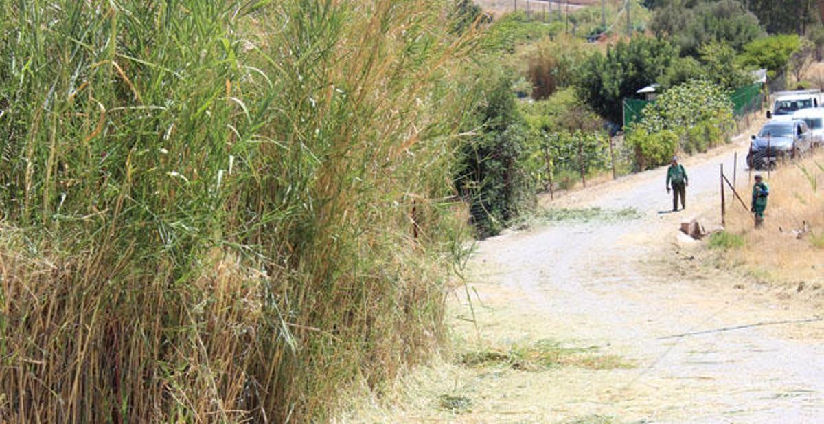 Estepona inicia un plan de desbroce y limpieza en su red de caminos rurales