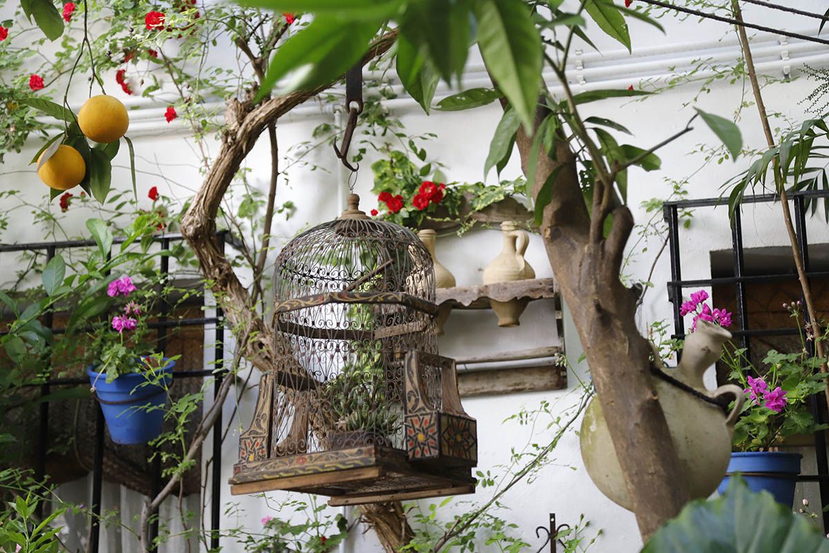 Muchos visitantes en el último día de patios