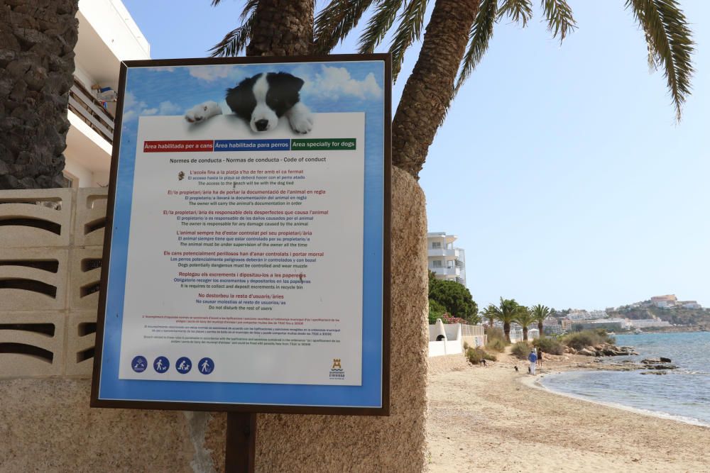 Primera playa abierta para los perros todo el año en Ibiza.