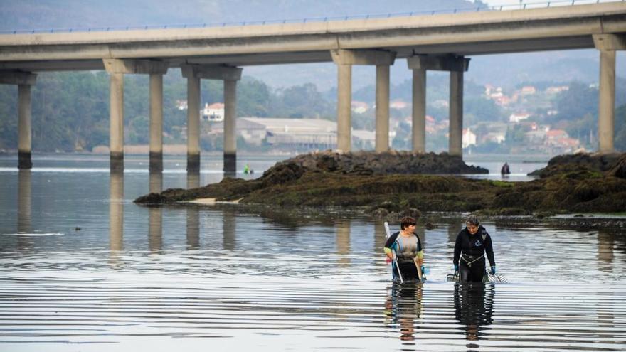 El móvil se halló en esta zona de la ría de Arousa. //I. Abella