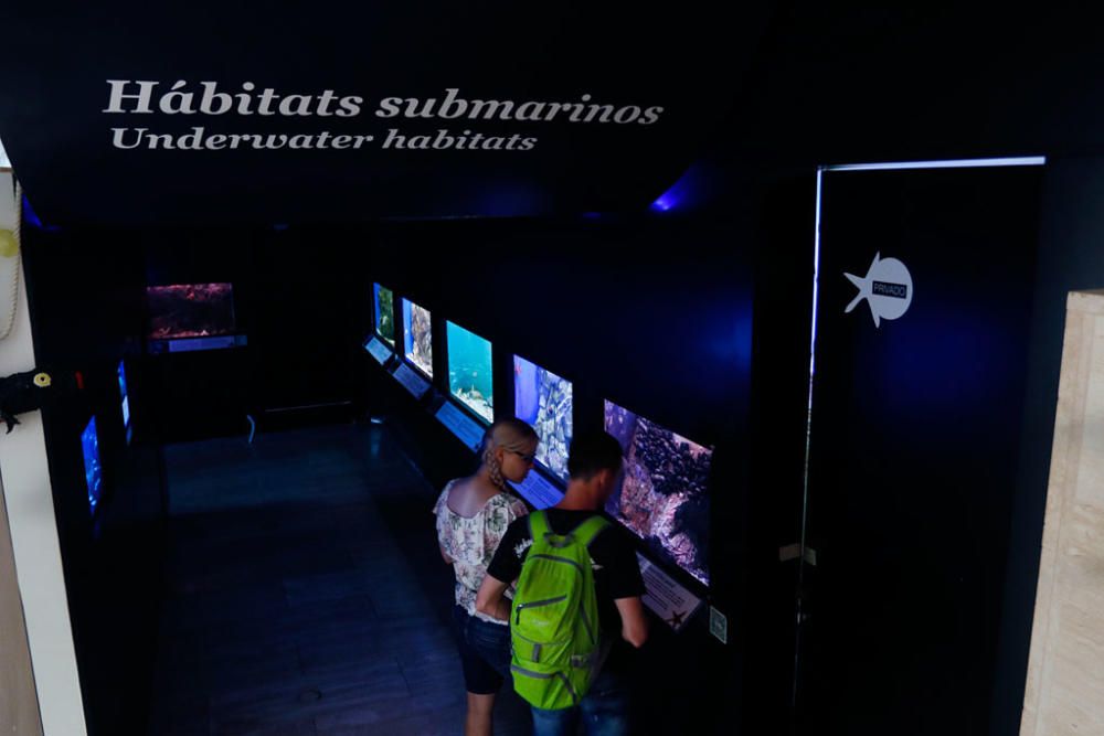 La Opinión de Málaga ha visitado el Museo Alborania, que expone más de 5.000 piezas y al que acuden no sólo escolares, sino muchos turistas, con el fin de celebrar con el Aula del Mar sus treinta años de vida