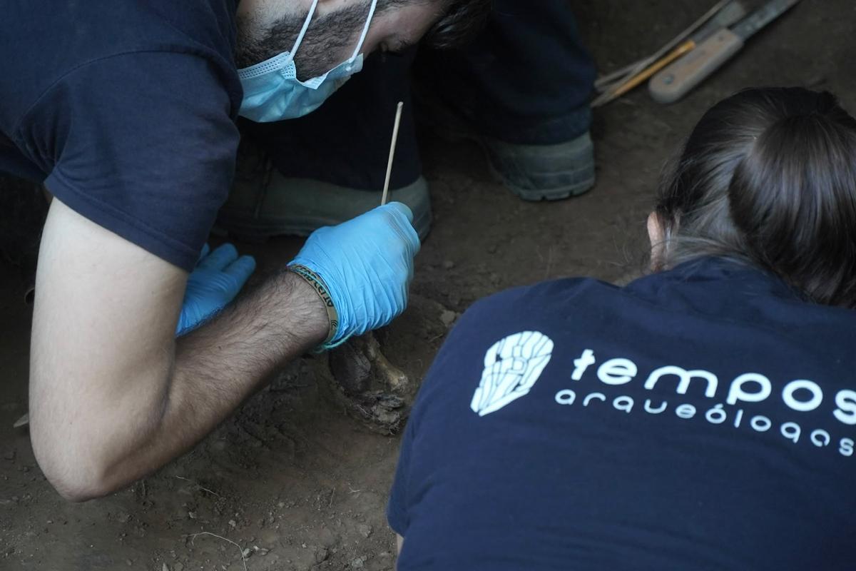 Presentación de los resultados de los trabajos de búsqueda de víctimas del franquismo en el cementerio de Beira, en Carral