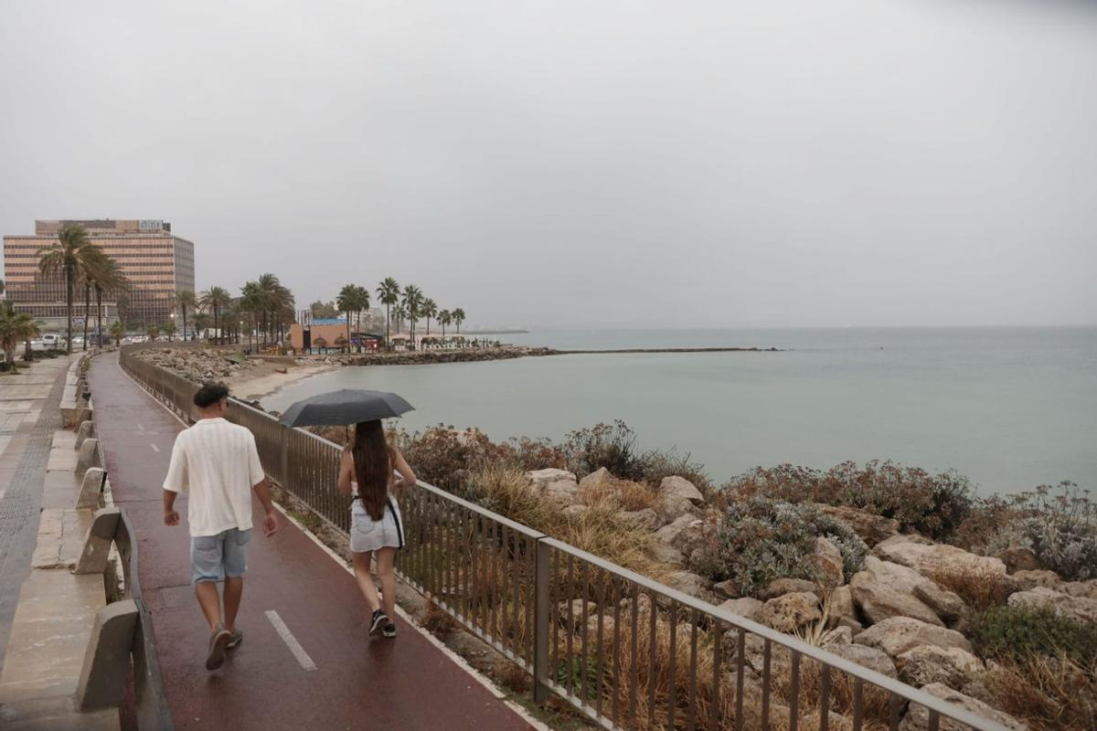 Lluvia en Palma
