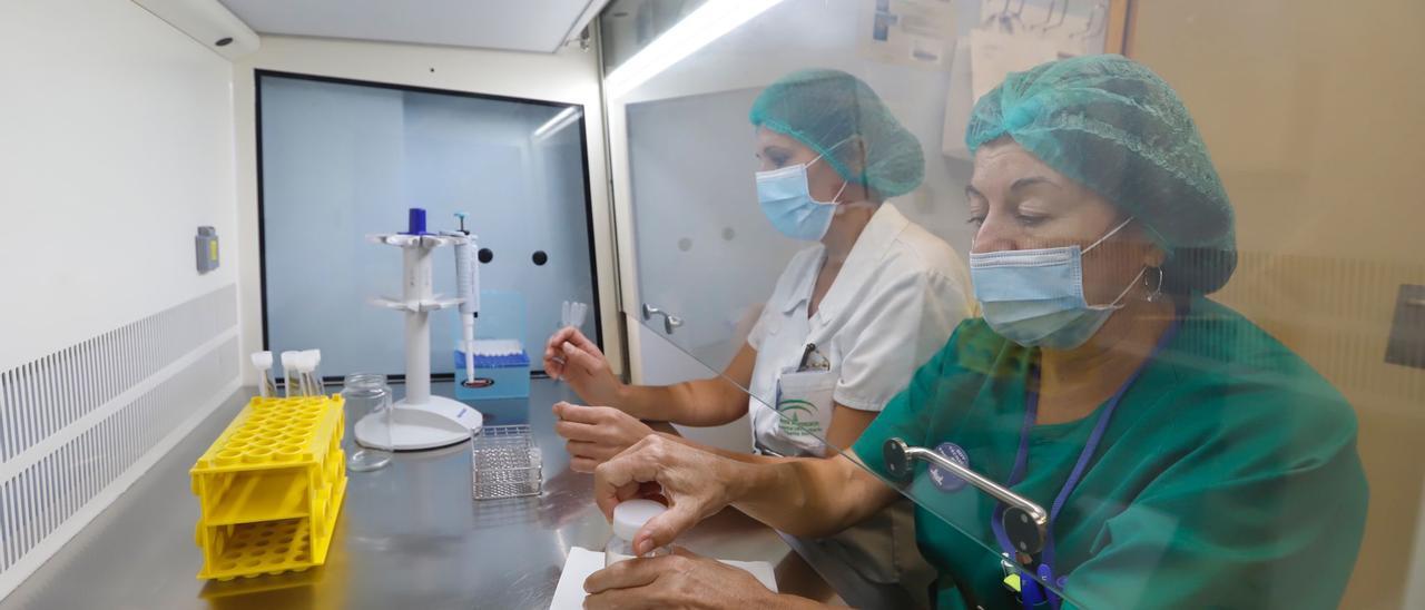 Profesionales del Banco de Leche Materna del hospital Reina Sofía.