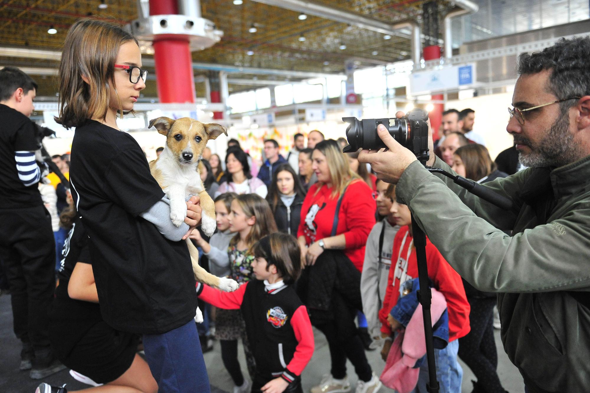 Amor por los animales en IFA