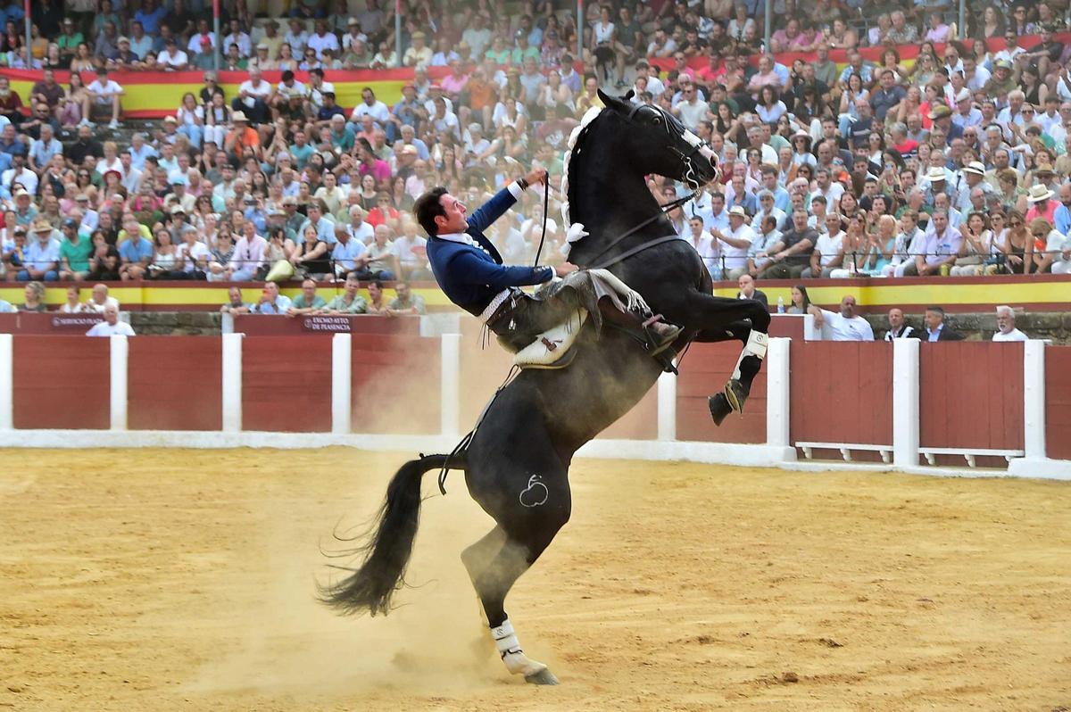 Fotogalería | Las imágenes de la corrida de rejones de la feria de Plasencia Fotogalería | Las imágenes de la corrida de rejones de la feria de Plasencia