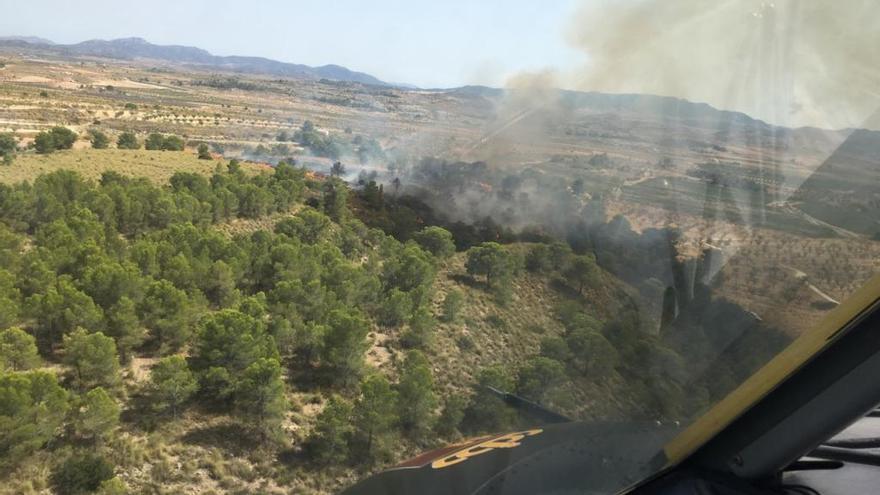 Estabilizan el incendio forestal en la Sierra del Carche en Jumilla