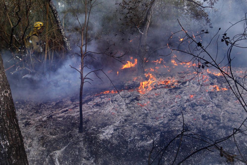 Incendi a Vilopriu