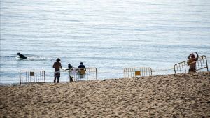 zentauroepp52460585 playa somorrostro200225091419