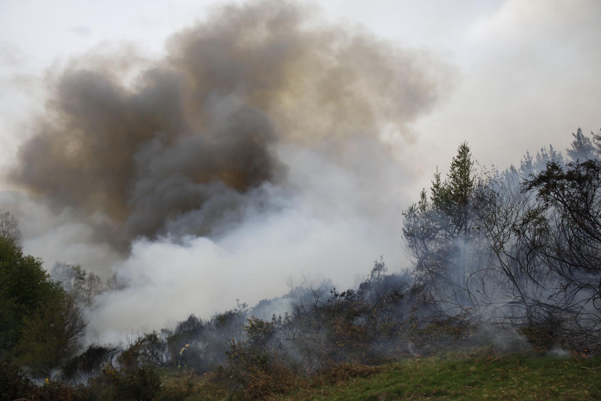 La lucha contra el fuego en el incendio entre Nava y Piloña