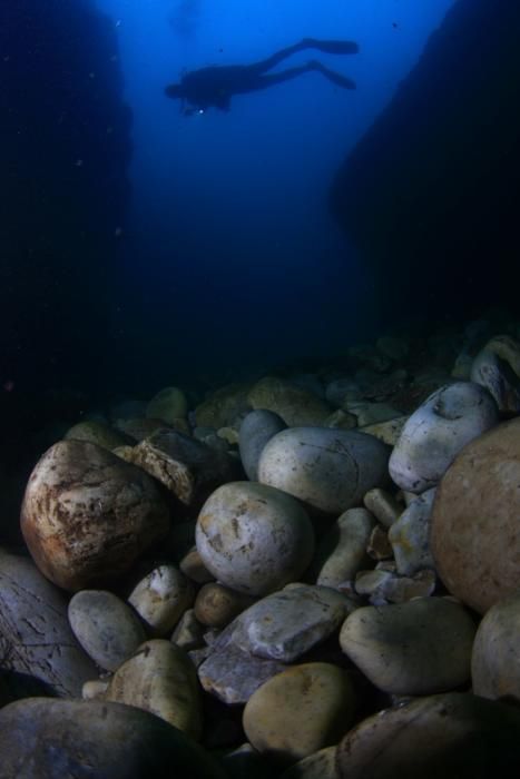 El Grupo Ensidesa de Actividades Subacuáticas (GEAS) gana el Campeonato de Asturias de fotografía submarina