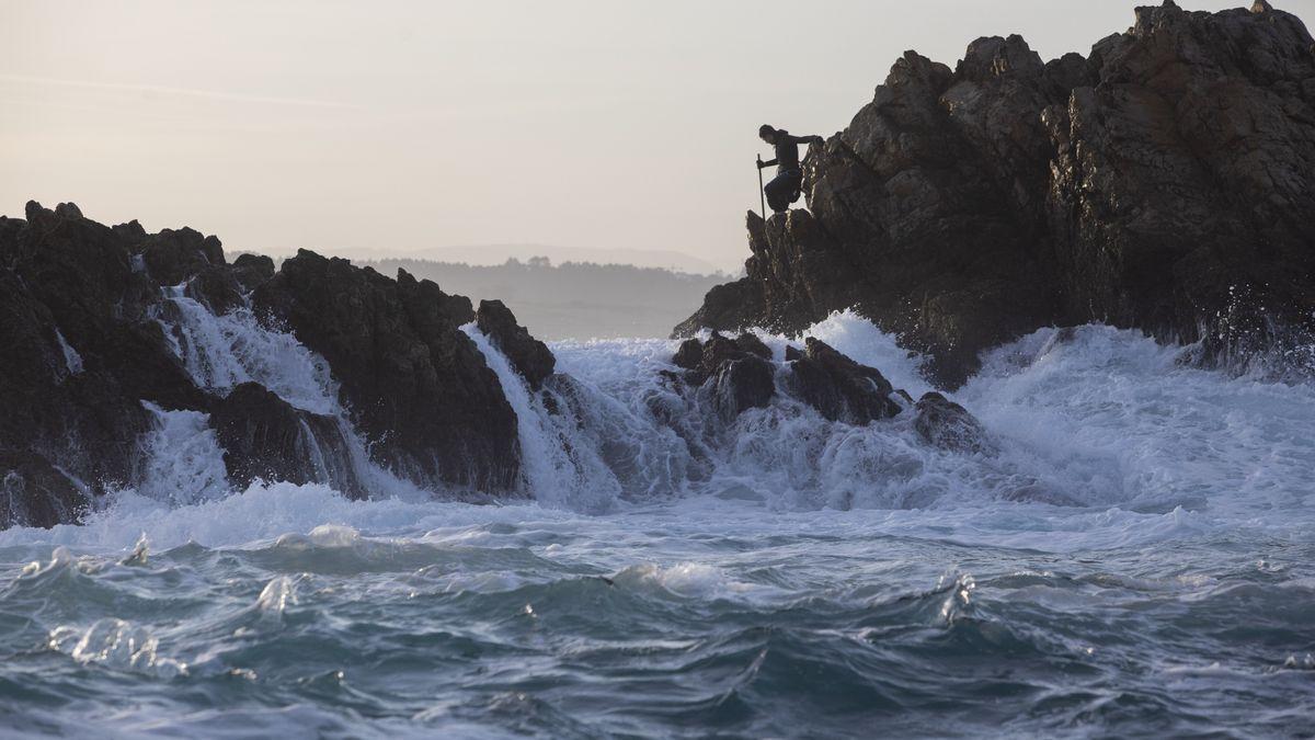 Perceberos en las rocas de Peñas.