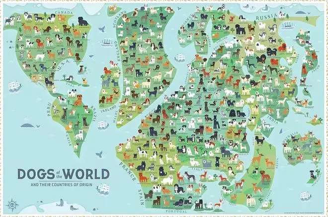 El mapa que muestra el origen de todos los perros del mundo: ¿encuentras al tuyo?