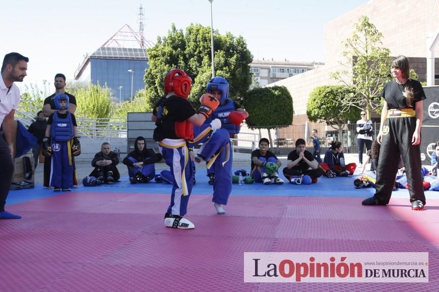 Fiesta del Deporte de Murcia (domingo)