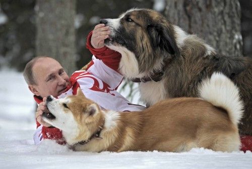 El presidente ruso Vladimir Putin juega con sus perros en la nieve