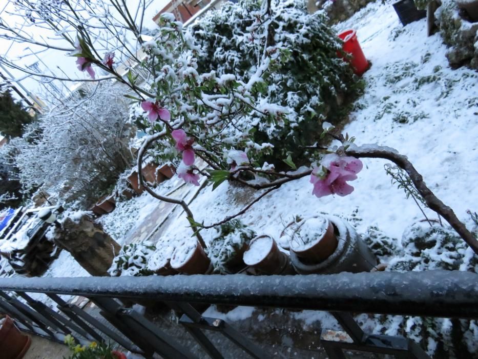 Nieve en Banyeres de Mariola a primera hora de esta mañana