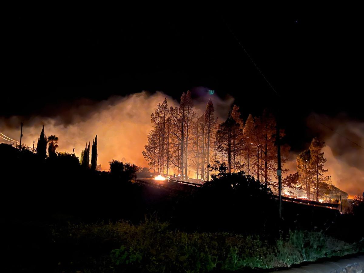 Incendio forestal en Puntagorda (La Palma).