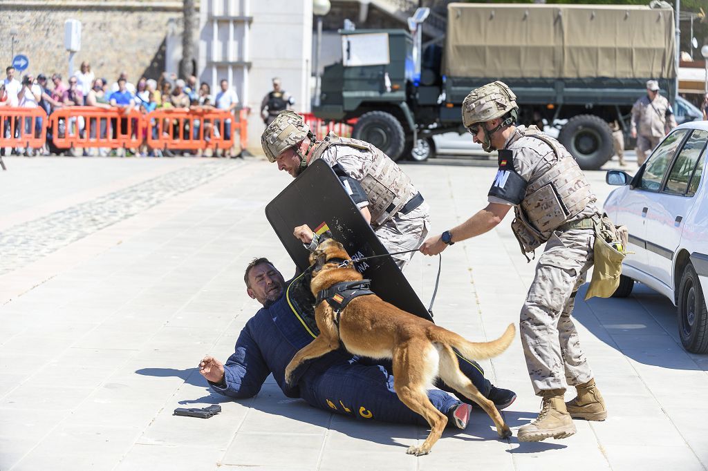 Día de las Fuerzas Armadas 2022 en Cartagena