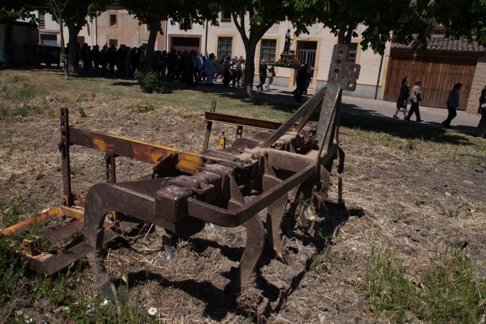 Celebración de San Isidro en Corrales del Vino