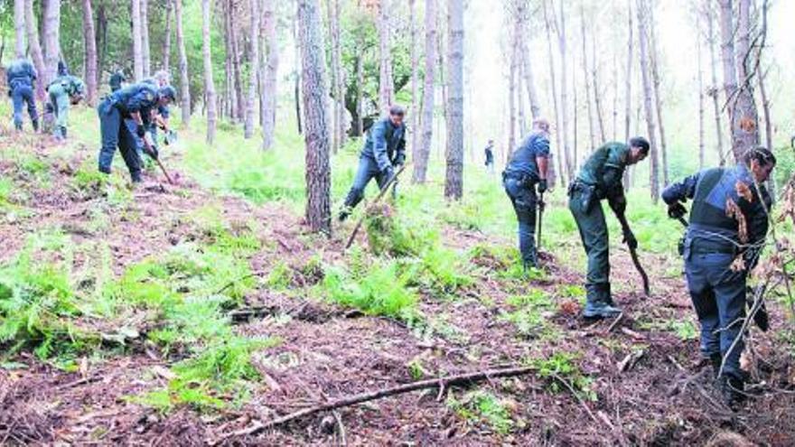 Agentes de la Guardia Civil, ayer, en el segundo día de rastreo en los montes de A Cañiza. / anxo martínez