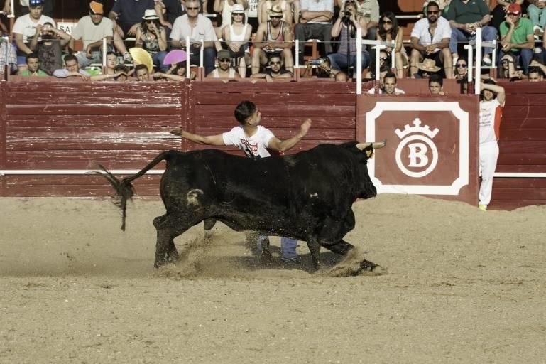 Concurso de cortes en la Plaza de Toros de Benaven