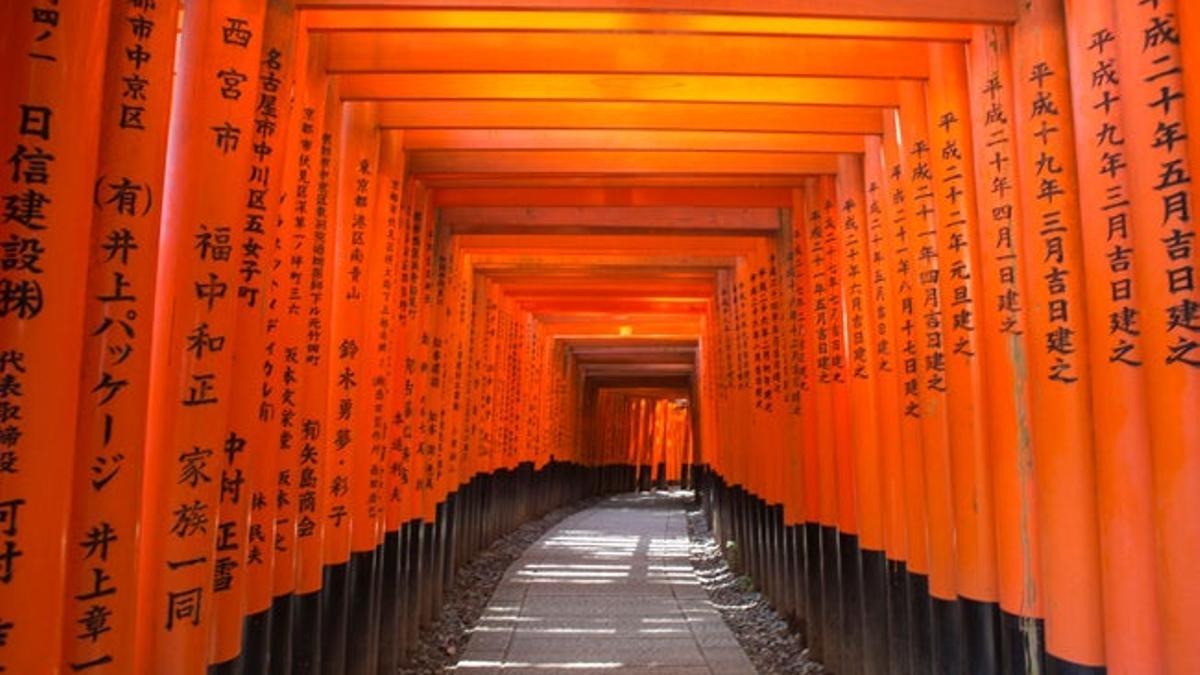 ¿El secreto de la prosperidad? Atraviesa el Fushimi Inari de Japón