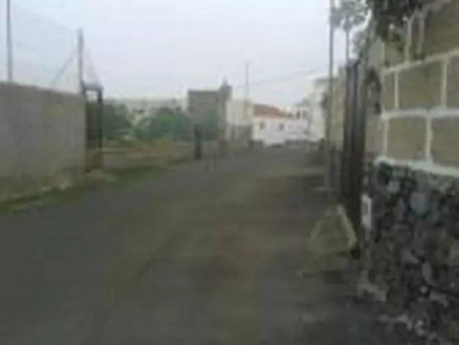 Amplio operativo en busca de la mujer y el hijo desaparecidos en Adeje