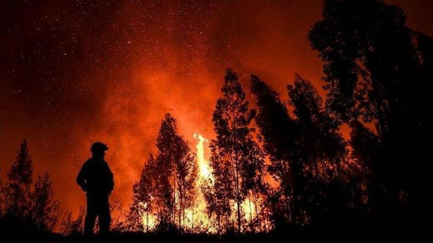 Portugal lucha contra un gran incendio que ha causado ocho heridos