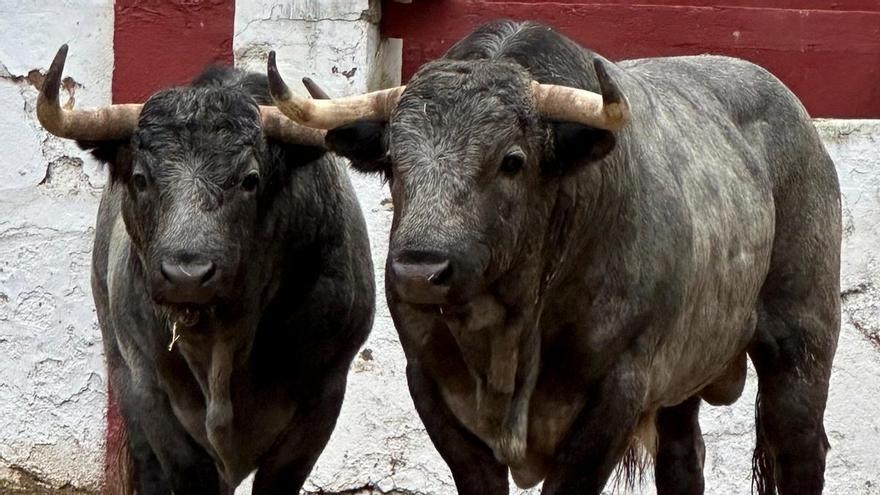 La corrida de hoy: ‘Ruiseñor’ y un año inolvidable avalan el regreso de La Quinta a Magdalena