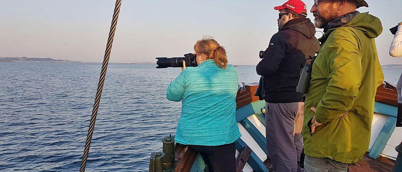 Observación de aves a bordo del pesquero escuela &quot;Chasula&quot;.